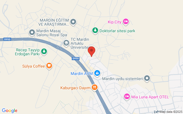 Artuklu Sağlık Eczanesi